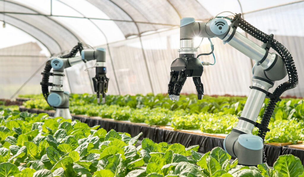 Smart Agriculture